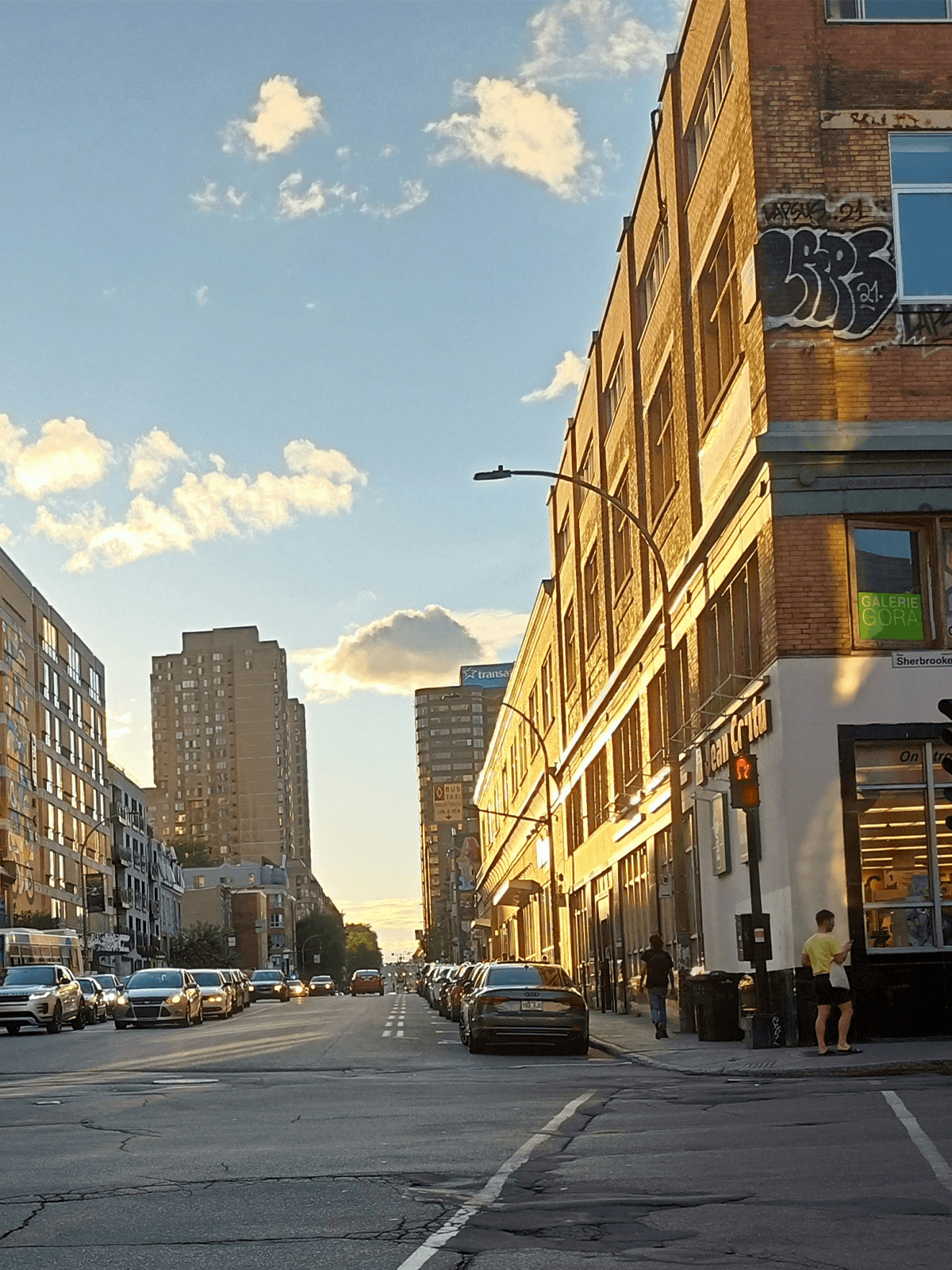 Artboard 1 copy 6.png